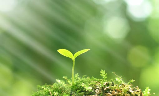 الإيمان بالله منبع السعادة